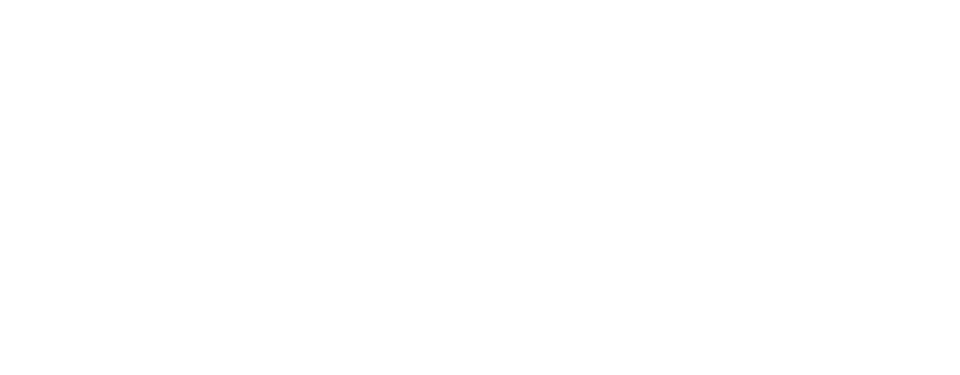 Brightline Electric